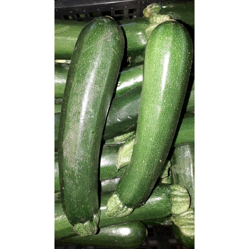 Zucchine