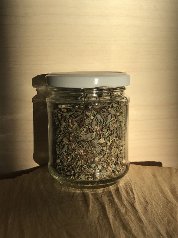 Origano selvatico in vaso 