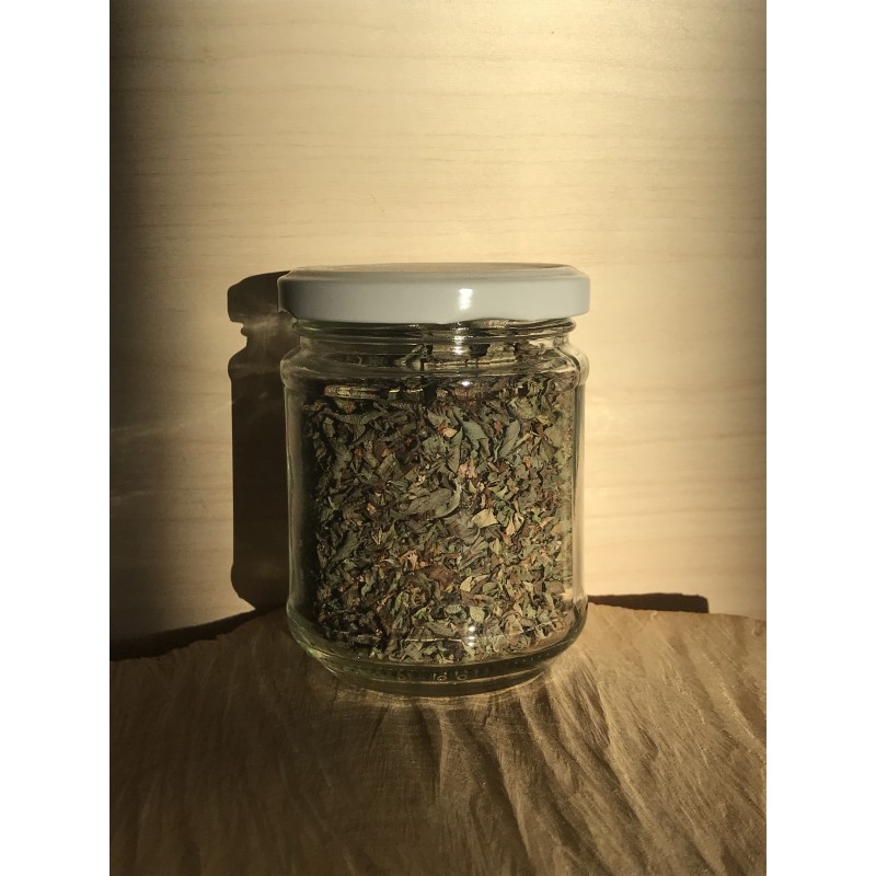 Origano selvatico in vaso 