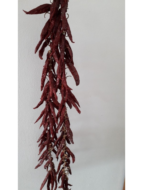 Peperoncino "amante" a filaro