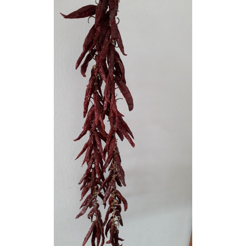 Peperoncino "amante" a filaro